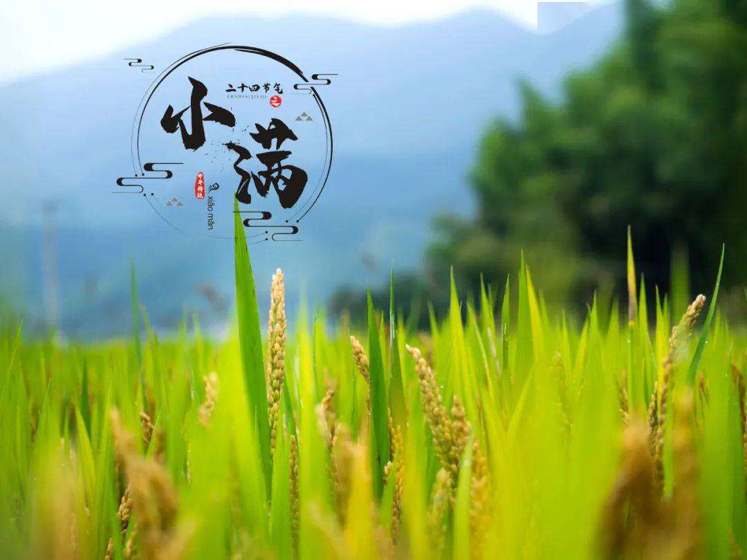 上海科兴仪器